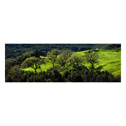 Douglas Page Photographic Arts - California Springtime, 48"x16" - Photographs