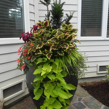 Container Gardens