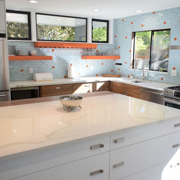 Modern Update in Davis, Ca
