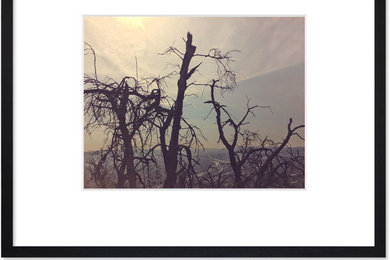 "Desolation Park (Soft)" - 11x14 / 16x20 - Eco-Friendly Black Rubberwood Frame