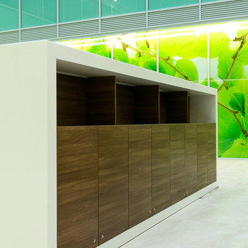 Floreasca Business Park Bucharest - office reception, aditional storage space