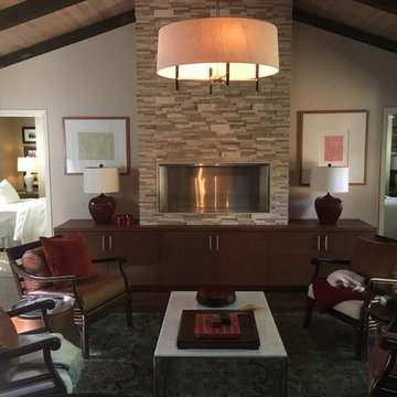 Fireplace -Ethanol burning ventless