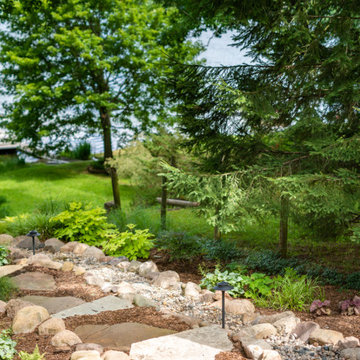 Lush Lakeside Landscape