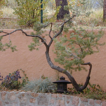 The Zen Tree