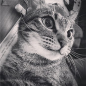 J B's photo