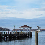 Maria Pusateri's photo