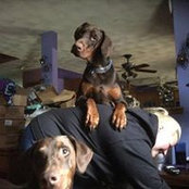 Foto von Lynette Curley