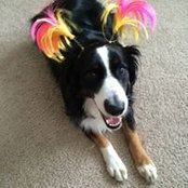 Foto von Wendy Strawbridge