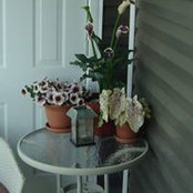 Doug MacKenzie's photo
