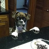 Janice Stevens's photo