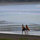 Meredith Shirk