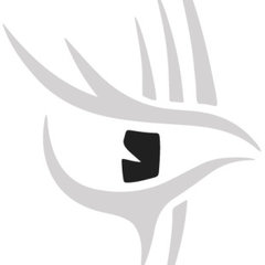Silver Eagle Contracting