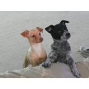 Foto von Lori Boyce