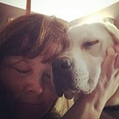 Heather Gallagher Wilson's photo