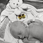 Ryan Lubbers's photo