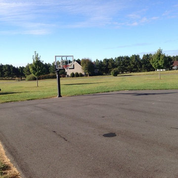 Daniel R's Pro Dunk Silver Basketball System on a 45x50 in Earleville, MD