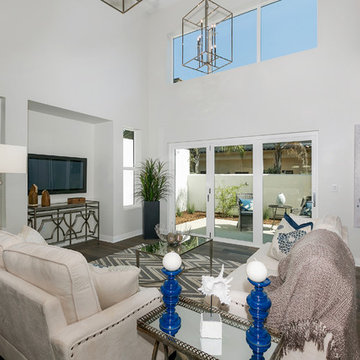 Coastal Contemporary in Encinitas