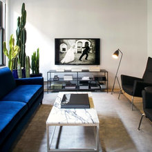Living Room Ideas