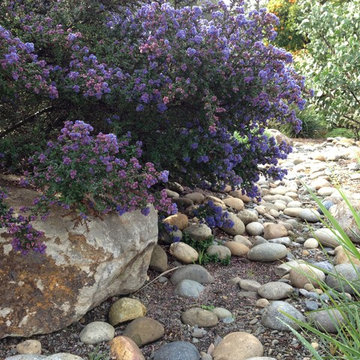 Fairlands Front California Native Garden