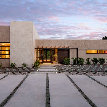 Coyote Modern