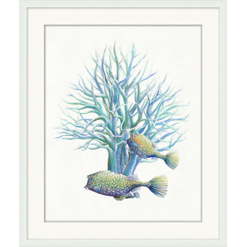 Fish And Coral 4, Giclee Reproduction Artwork