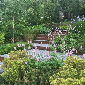 Muswell Hill Garden