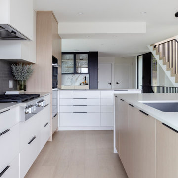 Contemporary City Renovation