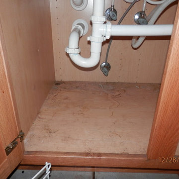Mold Kitchen Cabinet