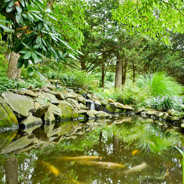 Waterfall | Koi Pond | Thornwood NY