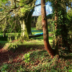 Nest Swing suspended group swing by Treehouse Life Ltd. - Garden Swing Seats