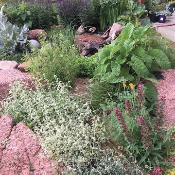 Fun, Flowers, & Food at El Rancho Calypso
