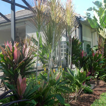 new landscape