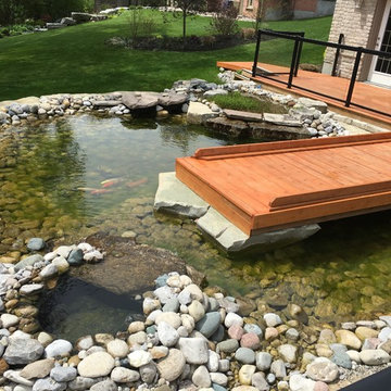 Above Ground Koi Pond