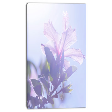 Pink Hibiscus Flower in Hawaii, Large Flower Canvas Art Print, 16"x32"