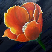 Lisette Swinnen's photo