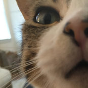 Tiffany Carlson's photo