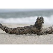 Tomas Allsbrooks's photo