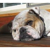 Frank Robinson's photo