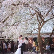 Anna Zheng's photo