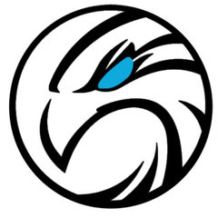 BlackHawk Security