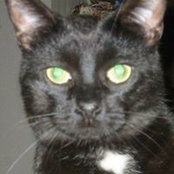 Gail Stobart's photo