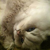 Birgit Mehnert's photo