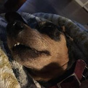 Dean Johnson's photo