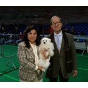 Alessandra Dario Paulucci's photo