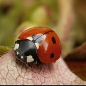 era060's photo