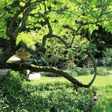 Beautiful Gardens and Accents