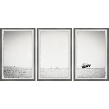 A Lone Bison Triptych, Set of 3, 12x18 Panels
