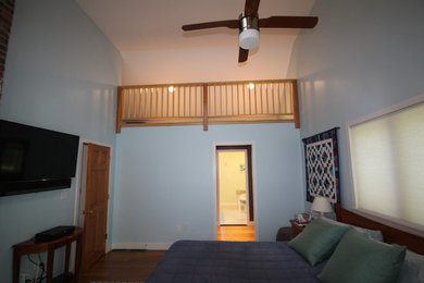 Inspiration for a large contemporary loft-style carpeted bedroom remodel in Boston with blue walls and no fireplace
