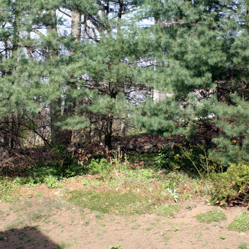 Boston Hillside Made in the Shade BEFORE in April