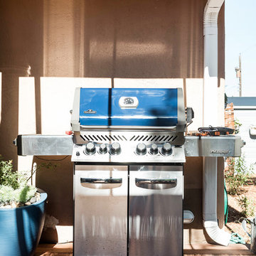 Albuquerque Backyard Update